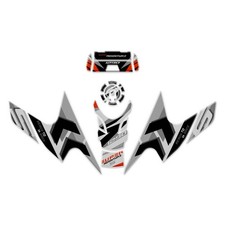 Kit adesivi per KTM 1290 Super