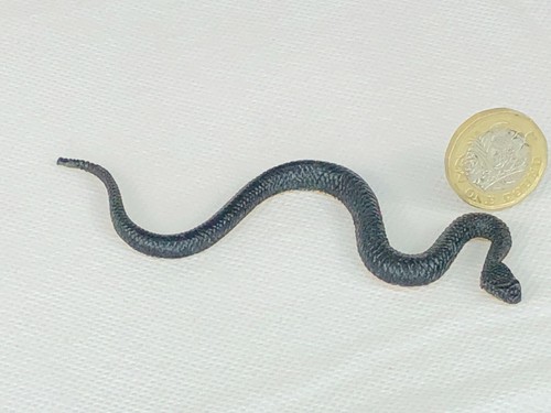 Snake serpent toy animal cute - snake,
