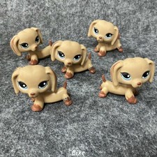 Confezione 5pz Little Pet Shop