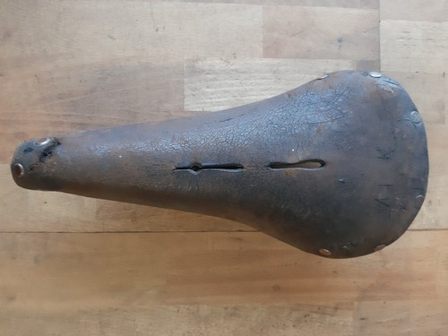 Sella brooks b17 - sella, champion