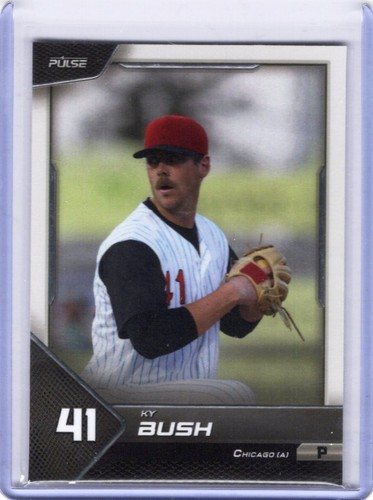 2024 pulse ky bush - 2024,