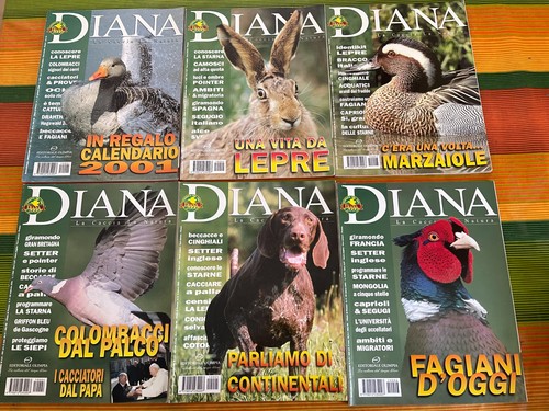 Lotto diana rivista - lotto, 17