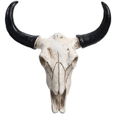  Ornamento Teschio Di Mucca