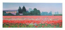 Corrieri mario campo di - -,