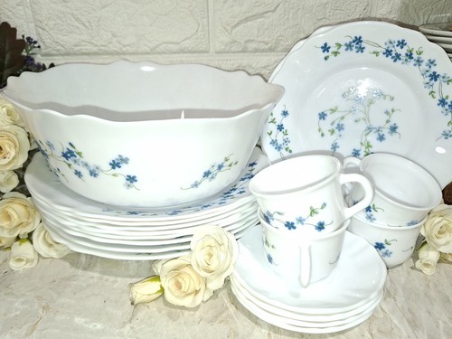 Arcopal myosotis vintage - arcopal,