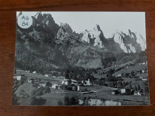Mis primiero foto - primiero, (tn)
