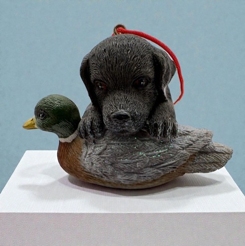 Hunting dog with mallard - dog,