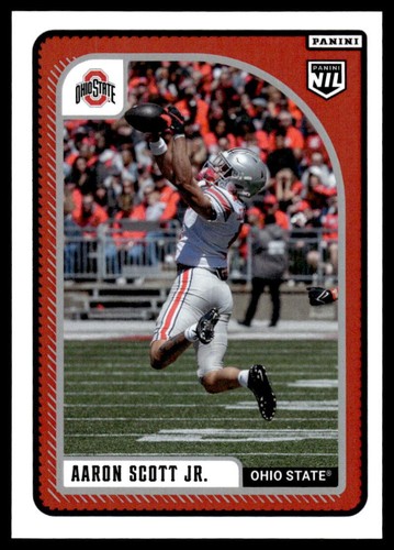 Aaron scott 2024 panini nil - scott,