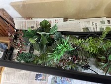 Acquario usato 100 lt kit completo. Leggi descrizione