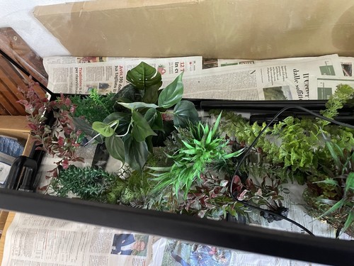 Acquario usato 100 kit - usato, lt