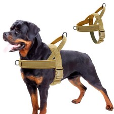 Pettorina Cane Taglia Grande