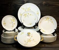 Johann Haviland Bavaria Giallo