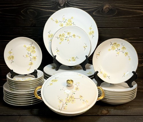 Johann haviland bavaria giallo - haviland,