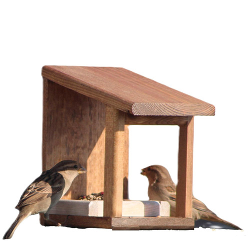 Mangiatoia per uccelli - uccelli, in
