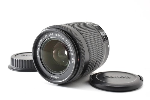 Nikon nikkor obiettivo - af-s, dx