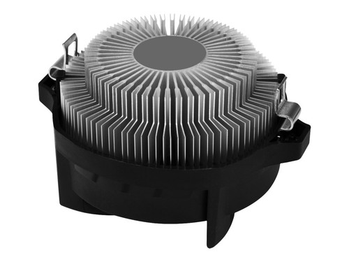 Arctic alpine compact - alpine,