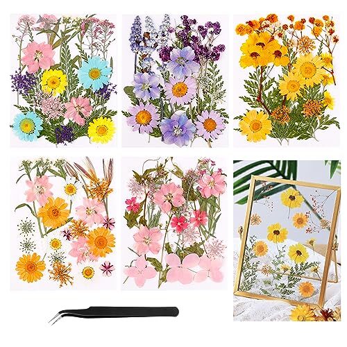 Fiori secchi per - per, decorazioni