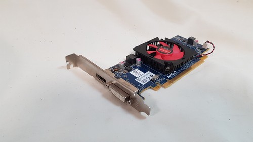 Scheda video grafica dell amd - video,
