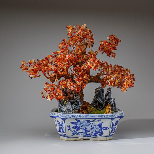 Bonsai corniola originale - di,