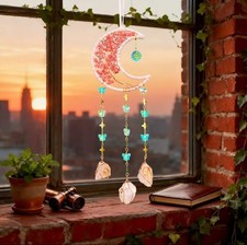 ACCHIAPPASOGNI LUNARE