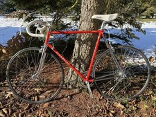 Bici corsa pinarello - da,