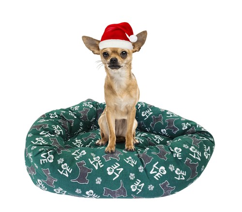 Cuccia morbida per cani taglia - cuccia,
