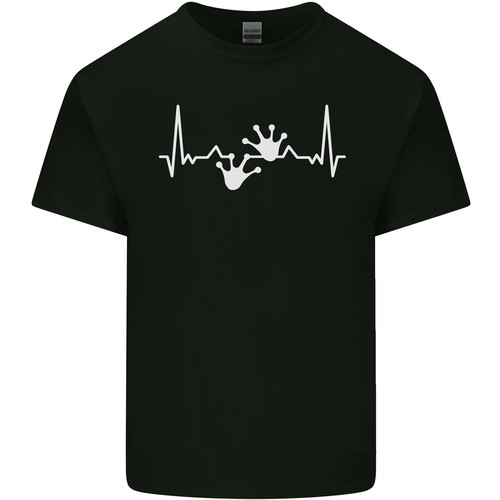 Lizard ecg gecko - lizard,