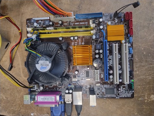 Scheda madre asus - madre, p5kpl-am