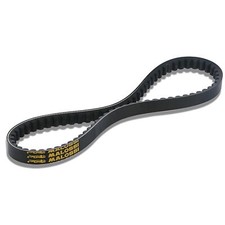 Cinghia trasmissione Malossi