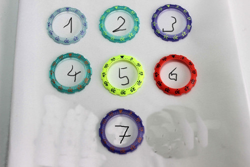 Ghiera orologio swatch scuba - ghiera,