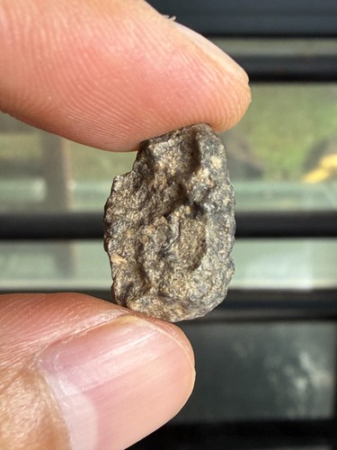Esemplare meteorite lunare - esemplare,