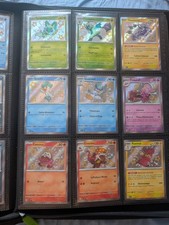 Lotto baby shiny destino di paldea NM