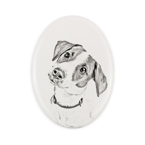 Jack russell terrier - russell, lapide