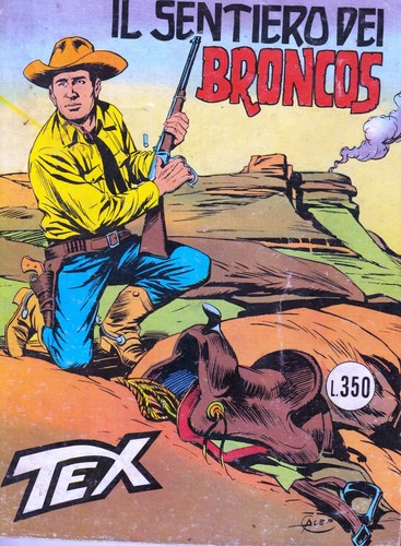 Sentiero dei broncos tex - dei,