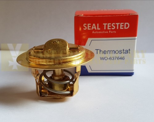 Custodia termostato jeep - termostato,
