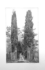 FEDERICA GALLI cm 60X80