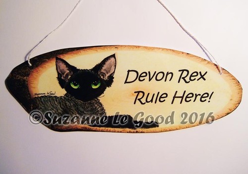 Devon rex cat art - rex,