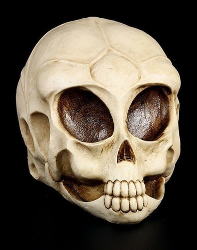Alien teschio totenkopf - teschio,