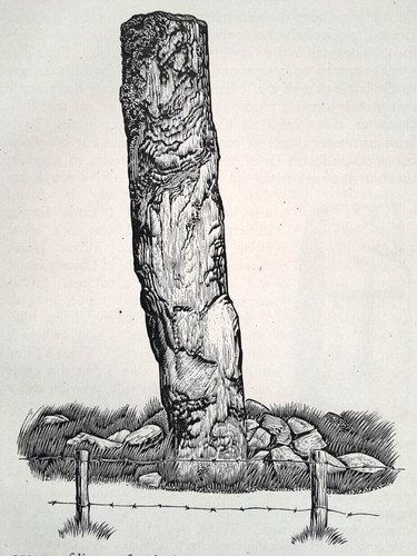 Gallaun pietra piedi - in,