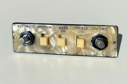 Höfner bass control panel - bass,