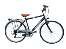 Bicicletta Uomo Passeggio