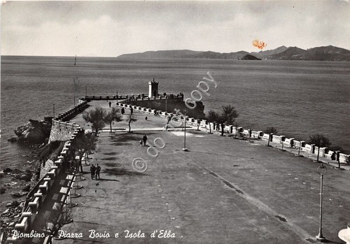 Cartolina postcard - -,