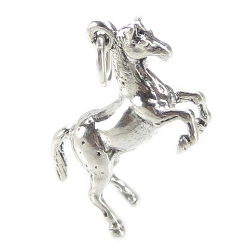 Ciondolo argento sterling - argento,