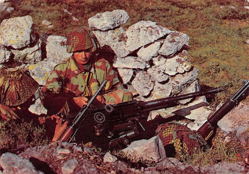 Cartolina esercito stato - cartolina,