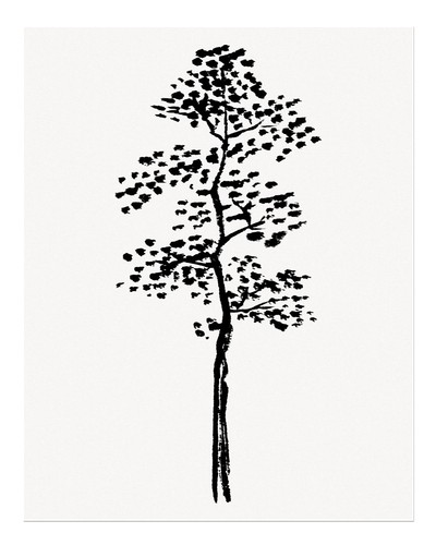 Elegante albero silhouette
