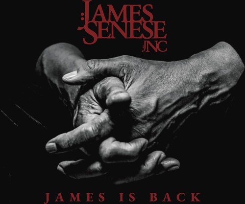 Vinile nuovo james senese - -,