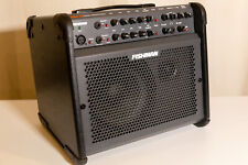 Fishman Loudbox 100