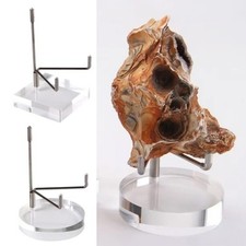 Elegante Espositore Regolabile