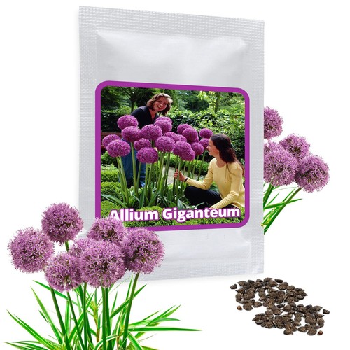 Semi aglio gigante allium - 30, (allium