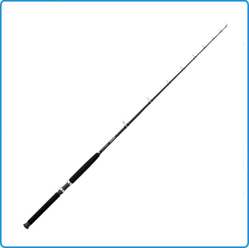 Canna traina daiwa seagate - canna,